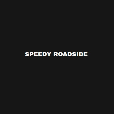 speedy roadside Detroit metro