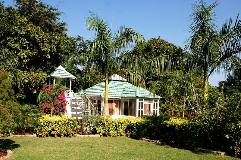 Village Machaan Resort