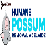 Humane Possum Removal Adelaide