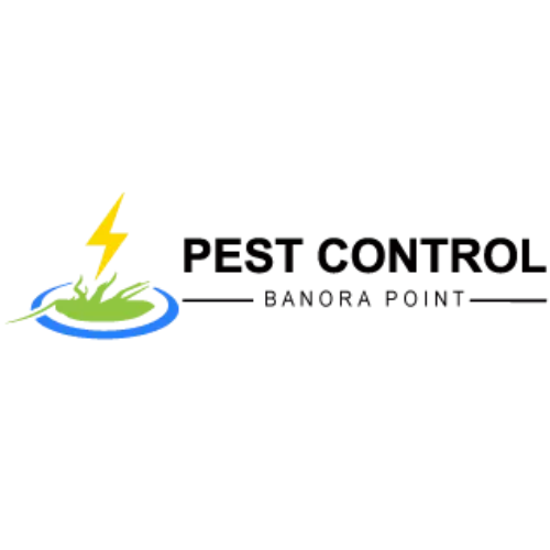 Pest Control Banora Point