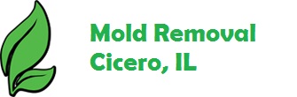 Mold Removal Cicero