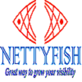 Nettyfish