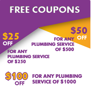 Local Plumbing Repair Houston