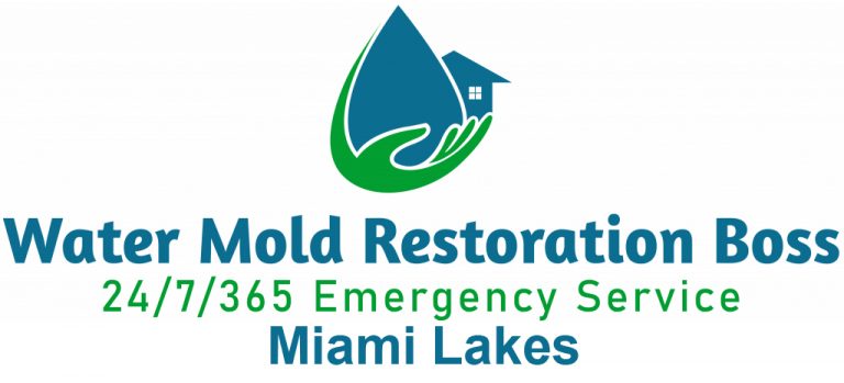 Mold Restoration Boss of Miami Lakes