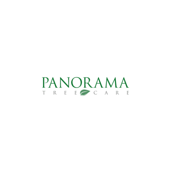 Panorama Tree Care: Tampa Tree Services