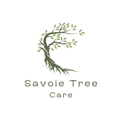 Savoie Tree Pros - Chalmette