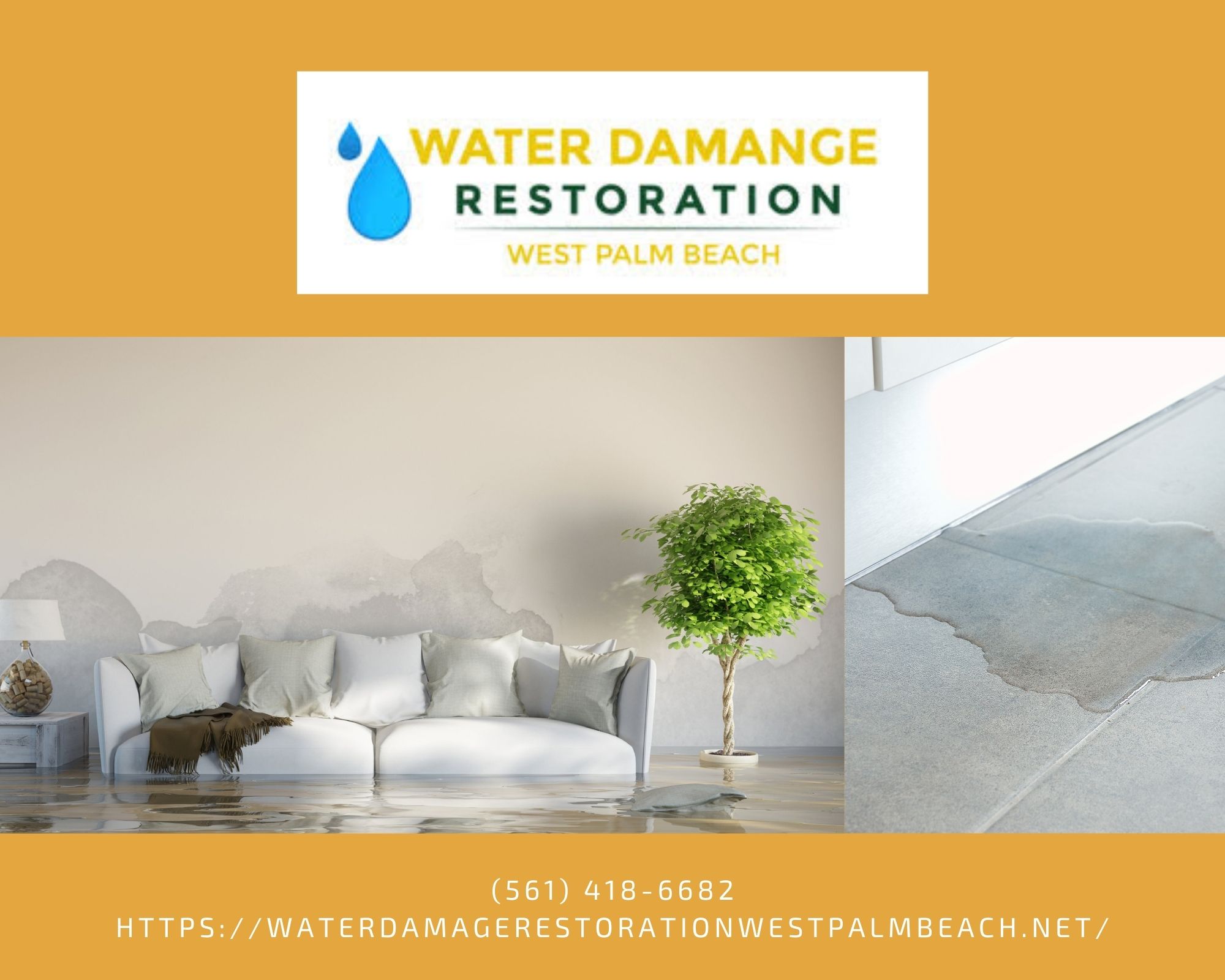 Water Damage Restoration West Palm Beach Pros Inc