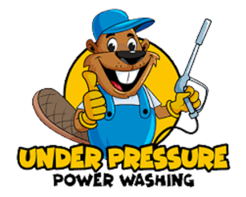 Under Pressure Power Washing Fl