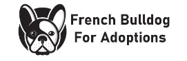 French Bulldogs For Adoption