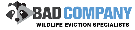 Bad Company Wildlife Eviction