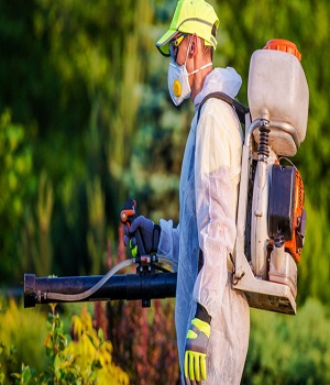 Queen City of the Ozarks Pest Control