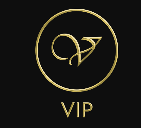 VIP Livery Services