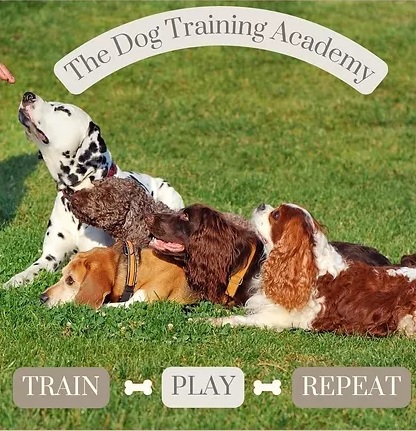 The Dog Training Academy