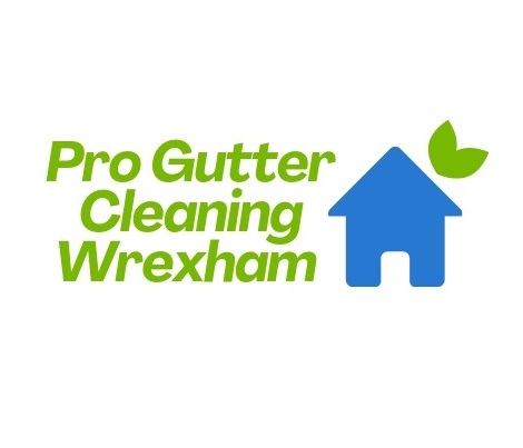 Pro Gutter Cleaning Wrexham