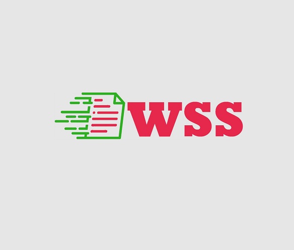 WSS Cloud Solution, LLC