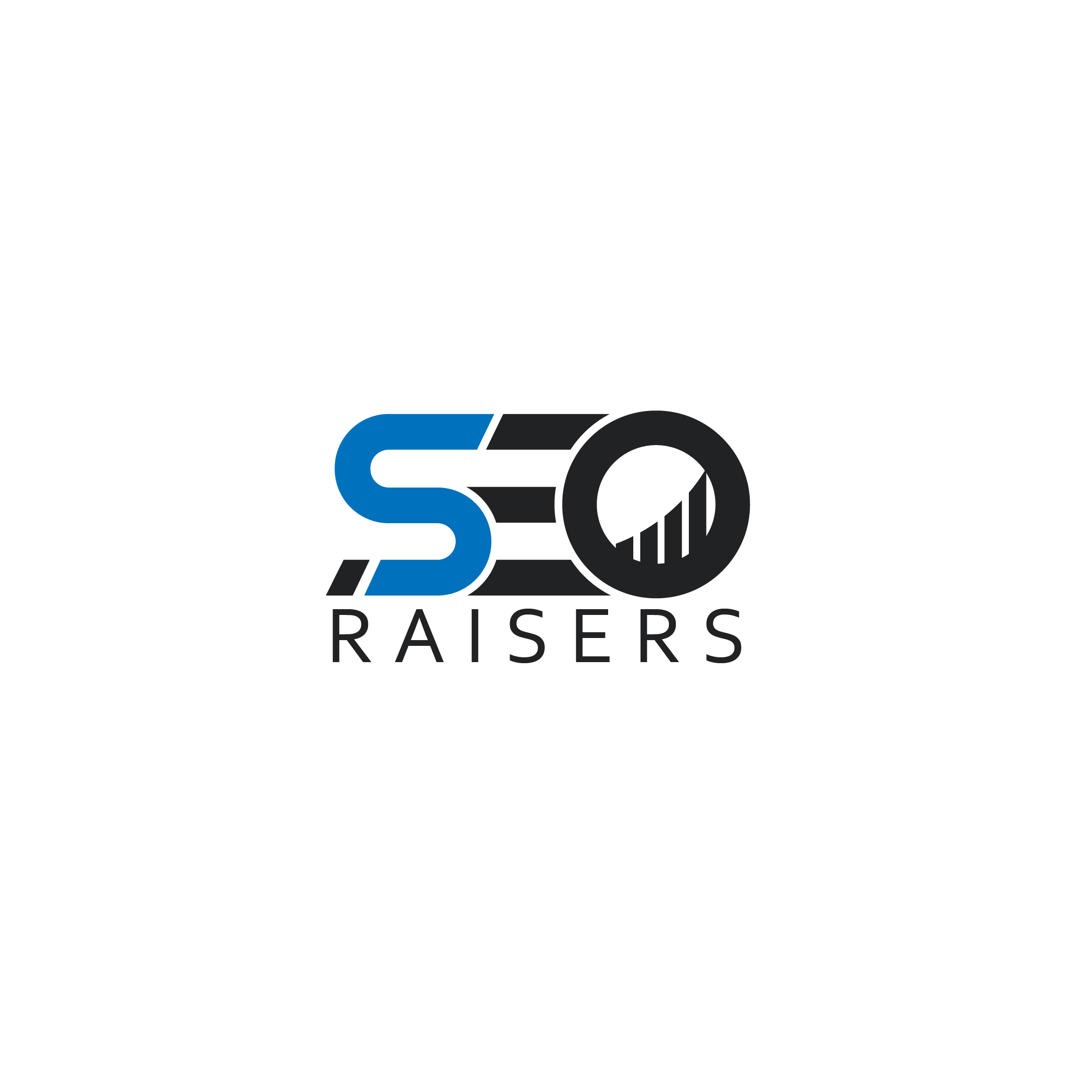 Seoraisers - SEO Company in Chandigarh