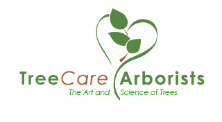 Arborist Tree Care Services