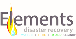 Elements Disaster Recovery