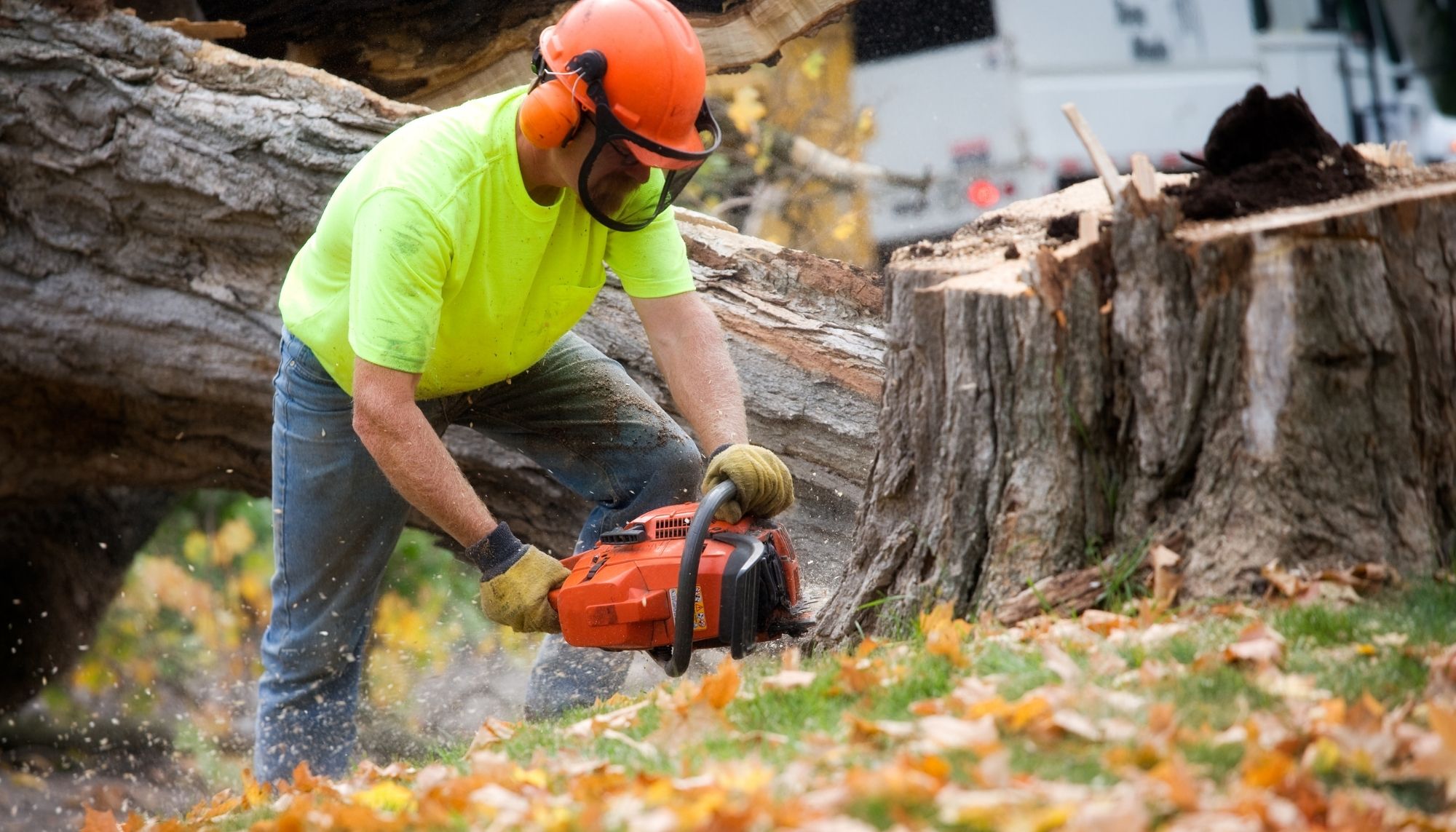 Great Water Tree Service