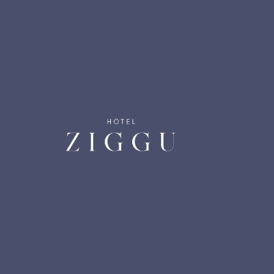 Ziggucamp Ltd