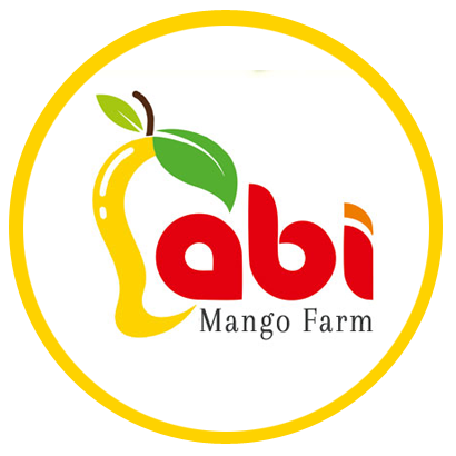 Farm Fresh Hand Picked Mangoes in Namakkal