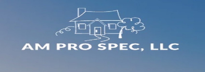 AM Pro Spec, LLC