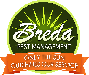 Breda Pest Management