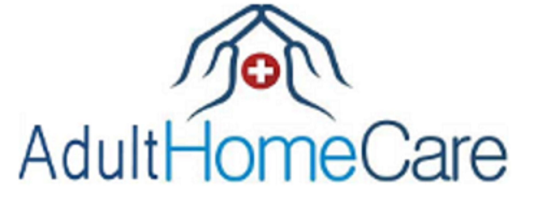 Home Health Care Agency Bronx