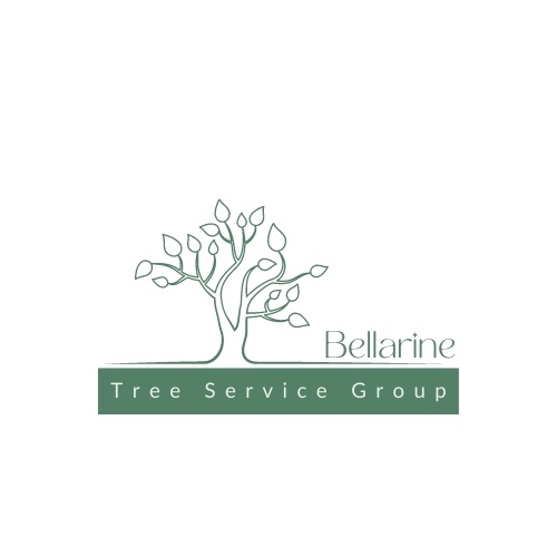 Bellarine Tree Service Group