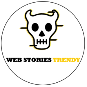 Web Stories Trendy