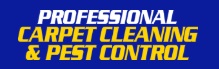 Professional Carpet Cleaning 