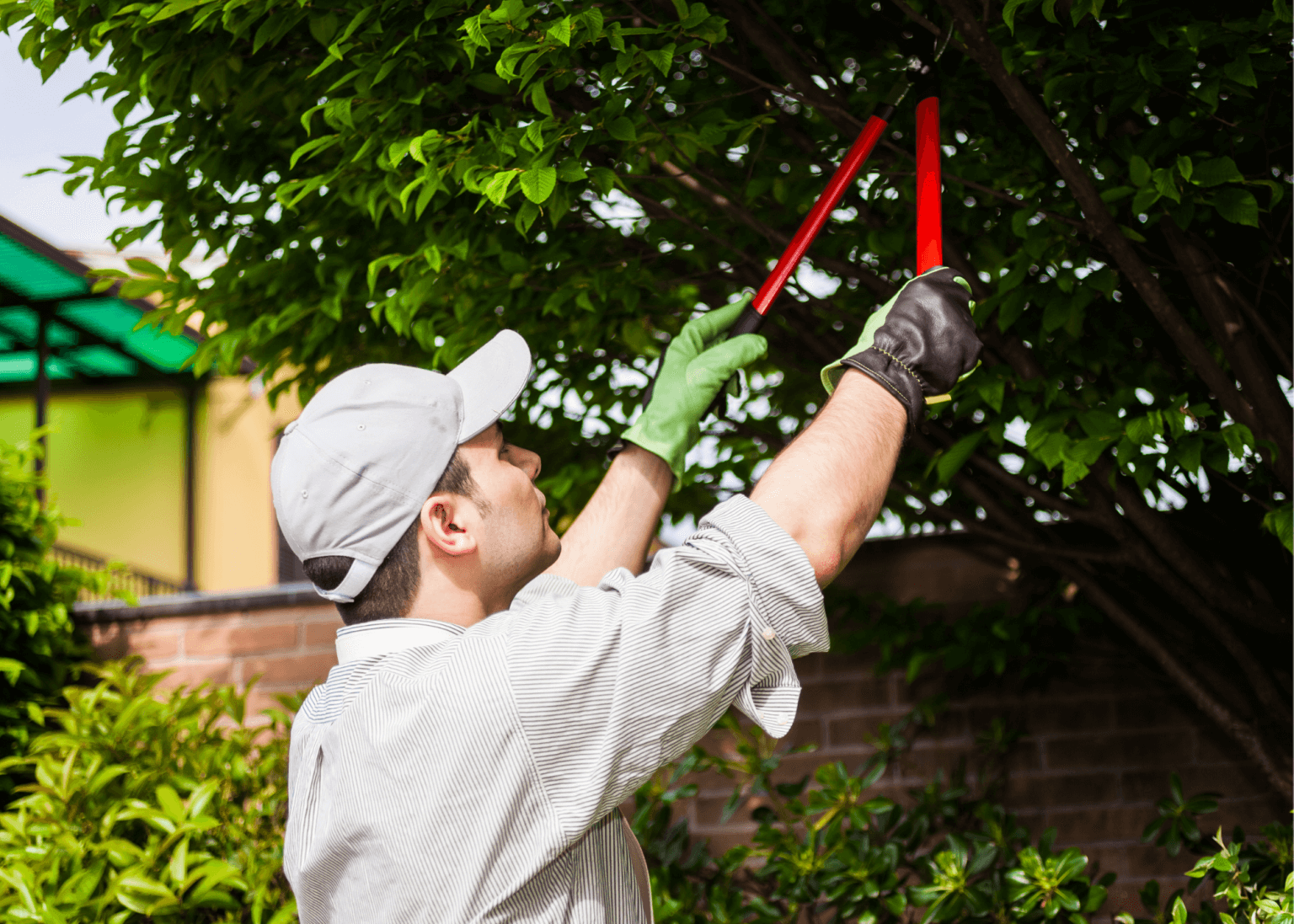 Leather City Tree Service