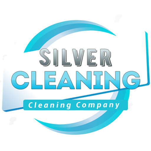Silver Cleaning