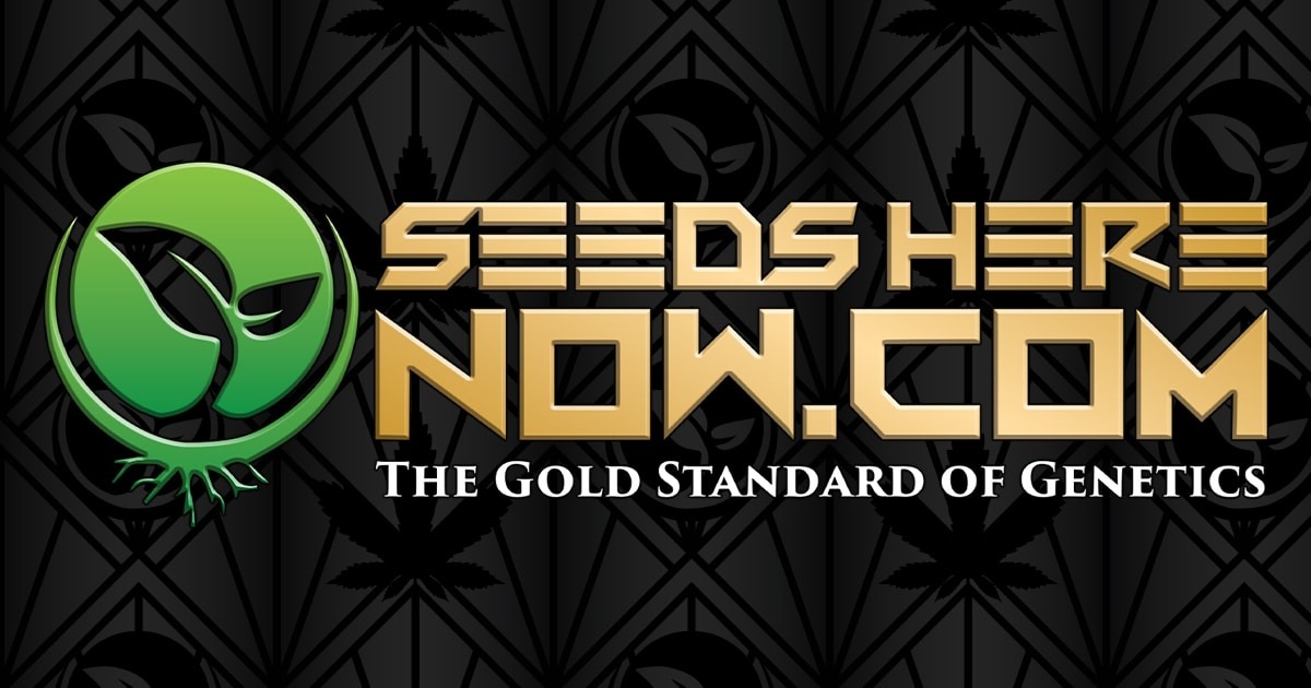 seedsherenow