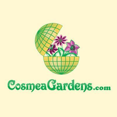Cosmea Gardens Ltd