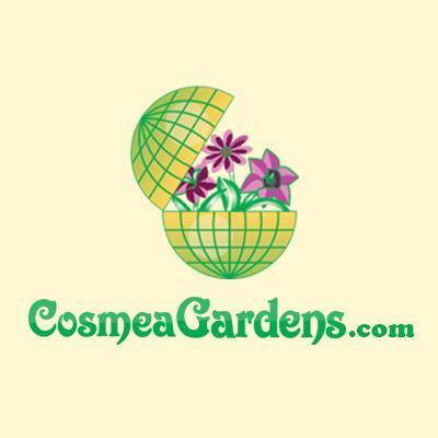 Cosmea Gardens