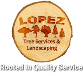 Lopez Tree Service