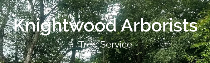 Knightwood Arborists Tree Service