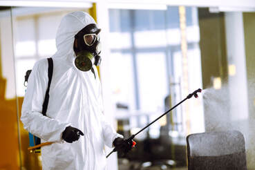 Mississauga Mold Removal