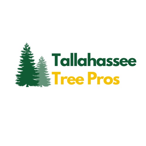 Tallahassee Tree Pros
