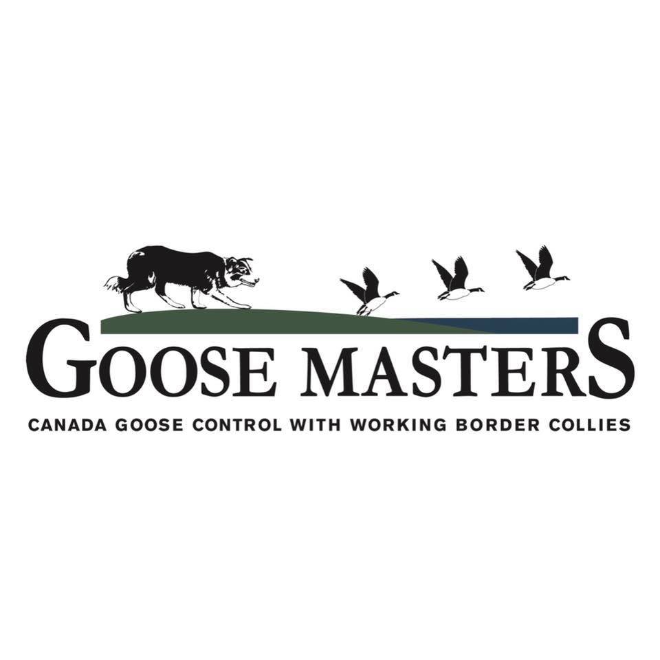 Goose Masters - Charlotte