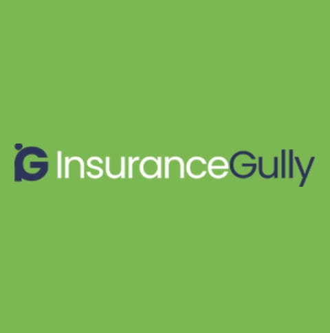 Insurance Gully