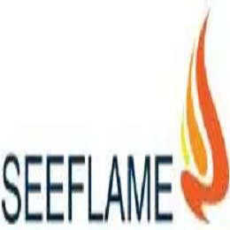 See Flame Gas