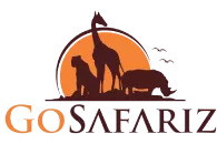 Go Safariz