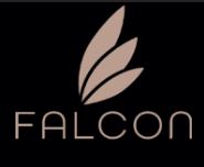 Falcon for Men