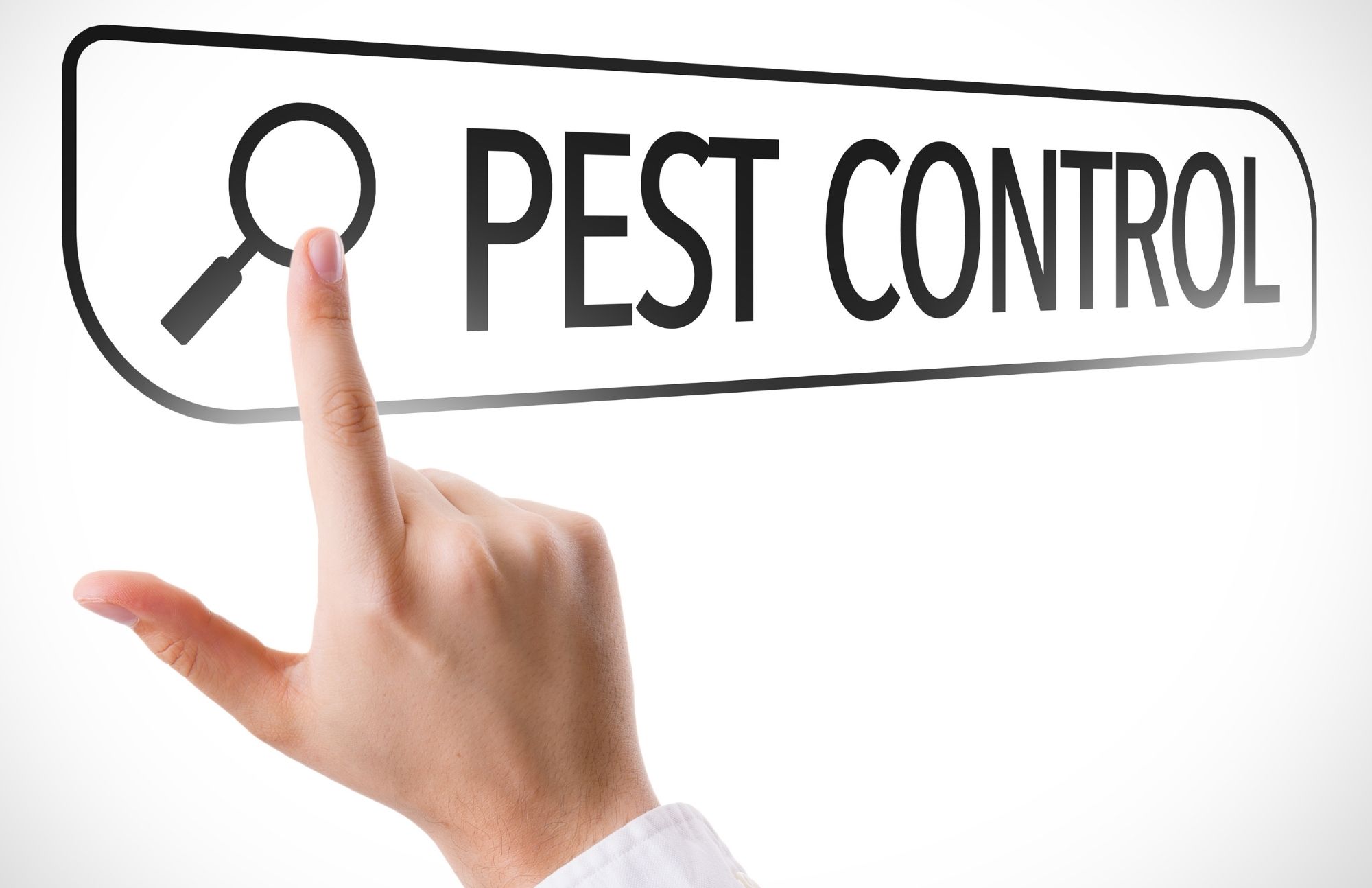Pest Control Expert of Hill Country
