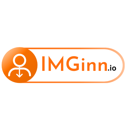 IMGinn.io