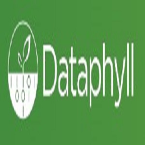 Dataphyll Limited