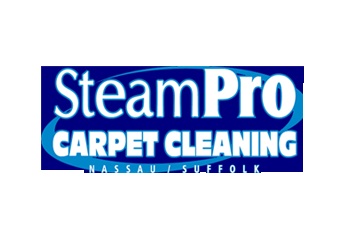 SteamPro Carpet Cleaning