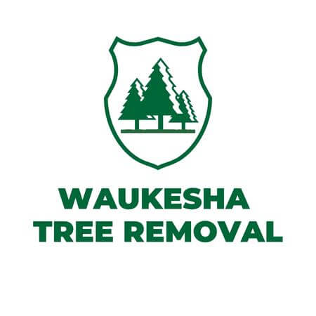 Waukesha Tree Removal